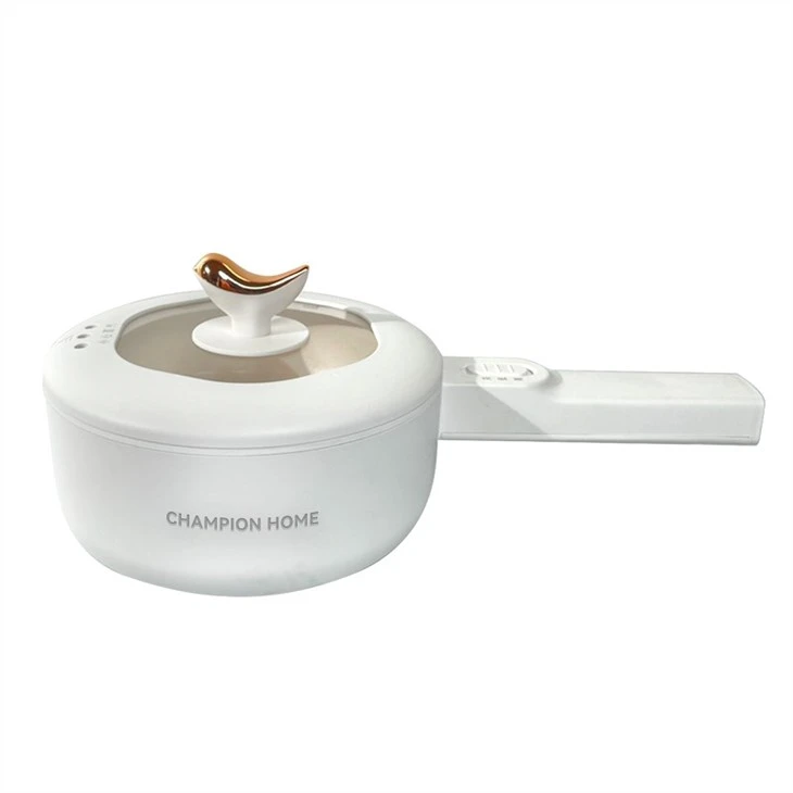 cooking electric pot